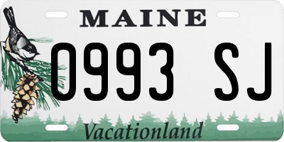 ME license plate 0993SJ