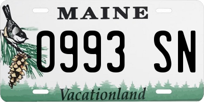 ME license plate 0993SN