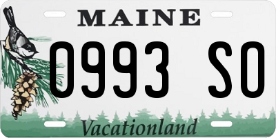 ME license plate 0993SO