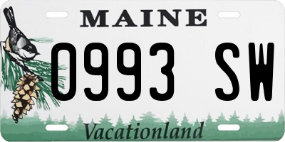 ME license plate 0993SW