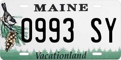 ME license plate 0993SY