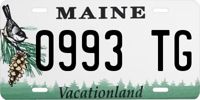 ME license plate 0993TG