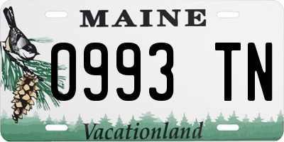 ME license plate 0993TN