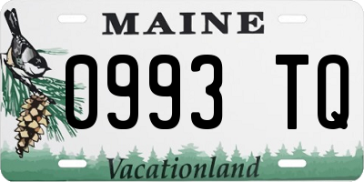 ME license plate 0993TQ