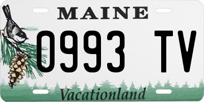 ME license plate 0993TV