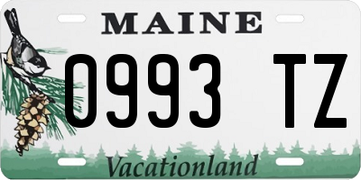 ME license plate 0993TZ