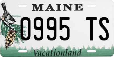 ME license plate 0995TS