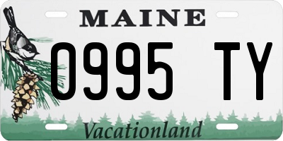 ME license plate 0995TY