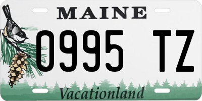 ME license plate 0995TZ