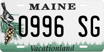 ME license plate 0996SG
