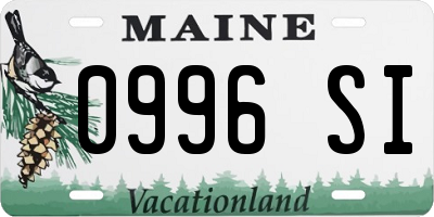 ME license plate 0996SI