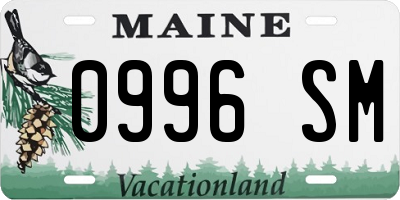 ME license plate 0996SM