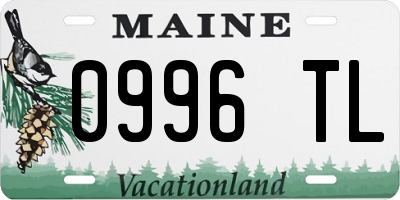 ME license plate 0996TL