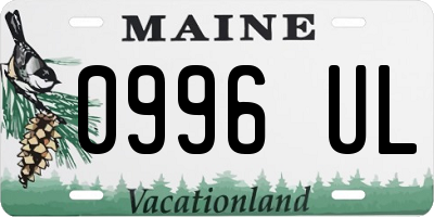 ME license plate 0996UL