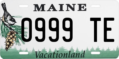 ME license plate 0999TE