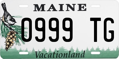ME license plate 0999TG