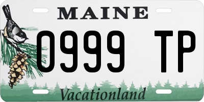 ME license plate 0999TP