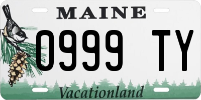 ME license plate 0999TY