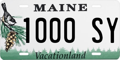 ME license plate 1000SY