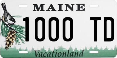 ME license plate 1000TD