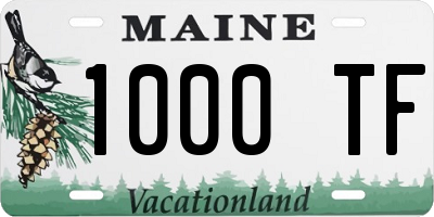 ME license plate 1000TF