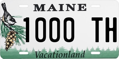 ME license plate 1000TH