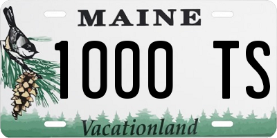 ME license plate 1000TS