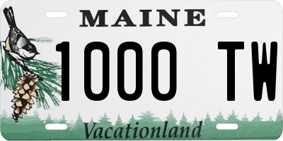 ME license plate 1000TW