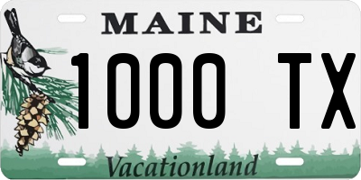 ME license plate 1000TX