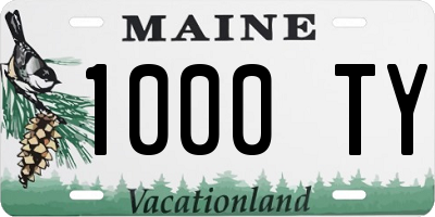 ME license plate 1000TY