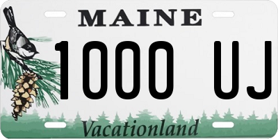 ME license plate 1000UJ