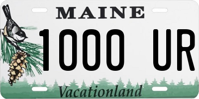 ME license plate 1000UR