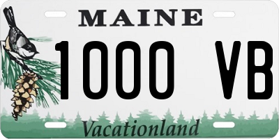 ME license plate 1000VB