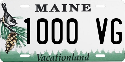 ME license plate 1000VG