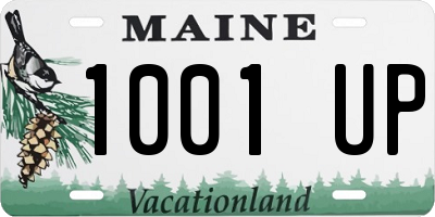 ME license plate 1001UP