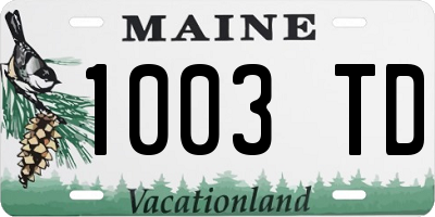 ME license plate 1003TD