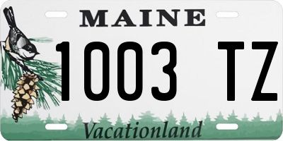 ME license plate 1003TZ