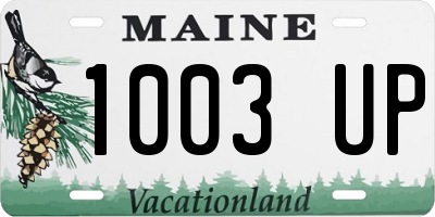 ME license plate 1003UP