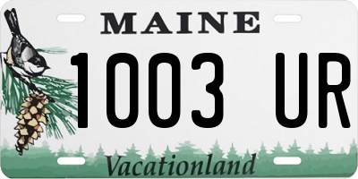 ME license plate 1003UR