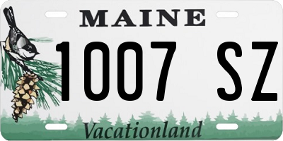 ME license plate 1007SZ