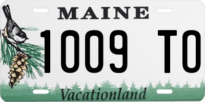 ME license plate 1009TO