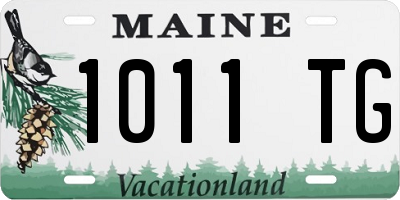 ME license plate 1011TG