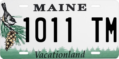 ME license plate 1011TM