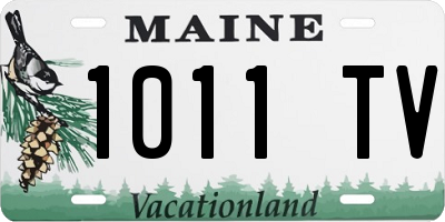 ME license plate 1011TV