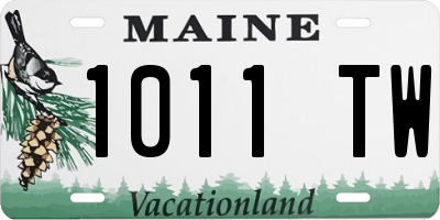 ME license plate 1011TW