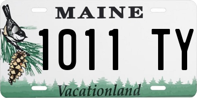 ME license plate 1011TY
