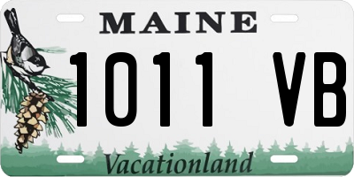 ME license plate 1011VB