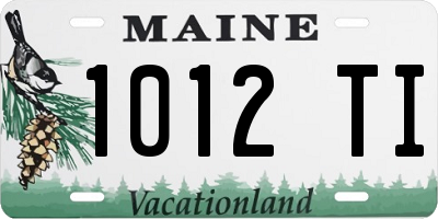 ME license plate 1012TI