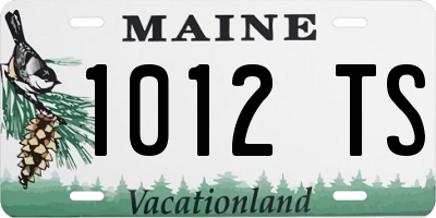 ME license plate 1012TS