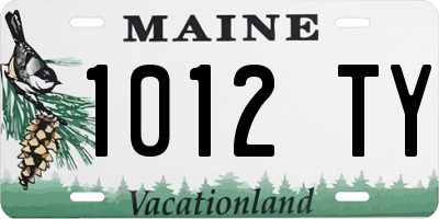 ME license plate 1012TY